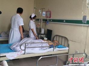 沈阳养老院爆料案件最新,揭开养老机构背后的惊人真相